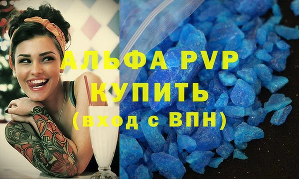 СК Бронницы