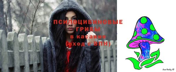 СК Бронницы
