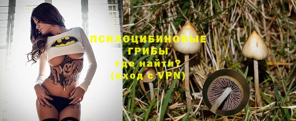 марки lsd Богданович