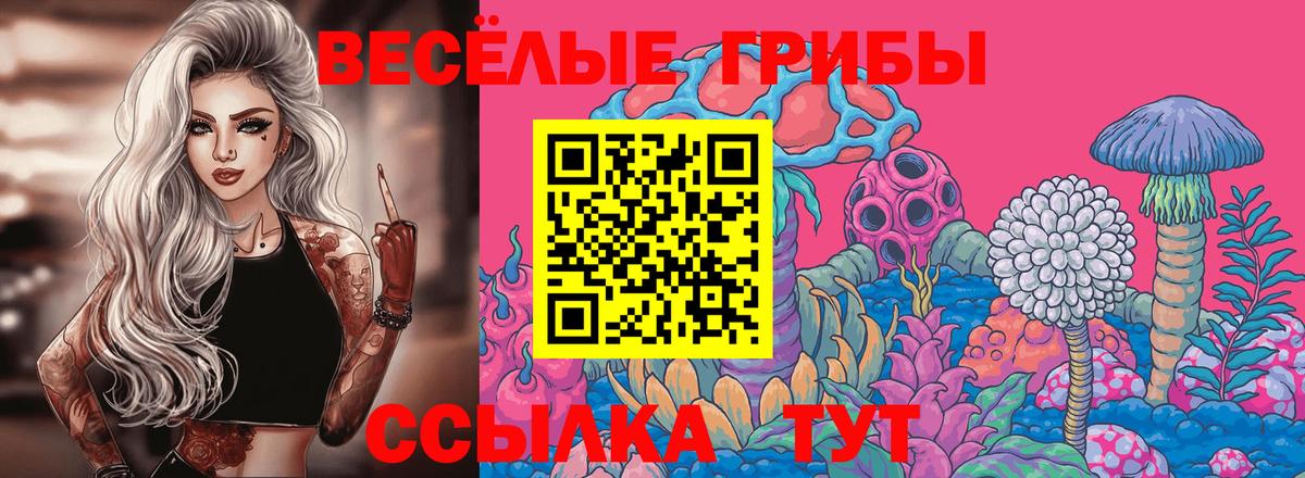Галлюциногенные грибы Magic Shrooms  Галлюциногенные грибы прущие грибы  Вход с VPN  Волжск 